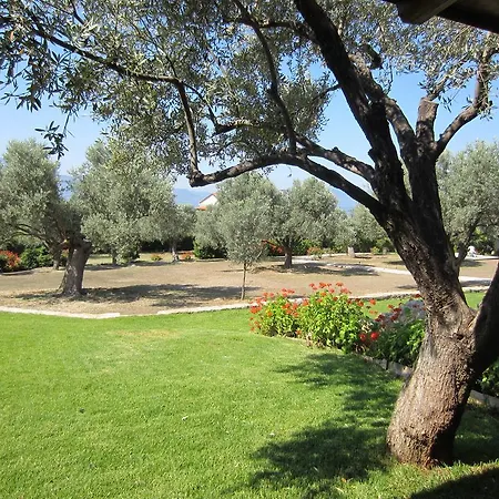 Villa Alilea Politiká