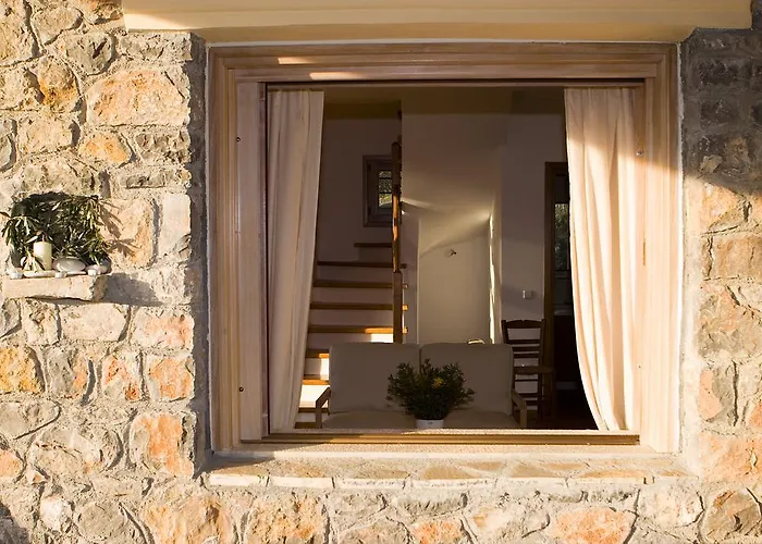 Villa Alilea Politika